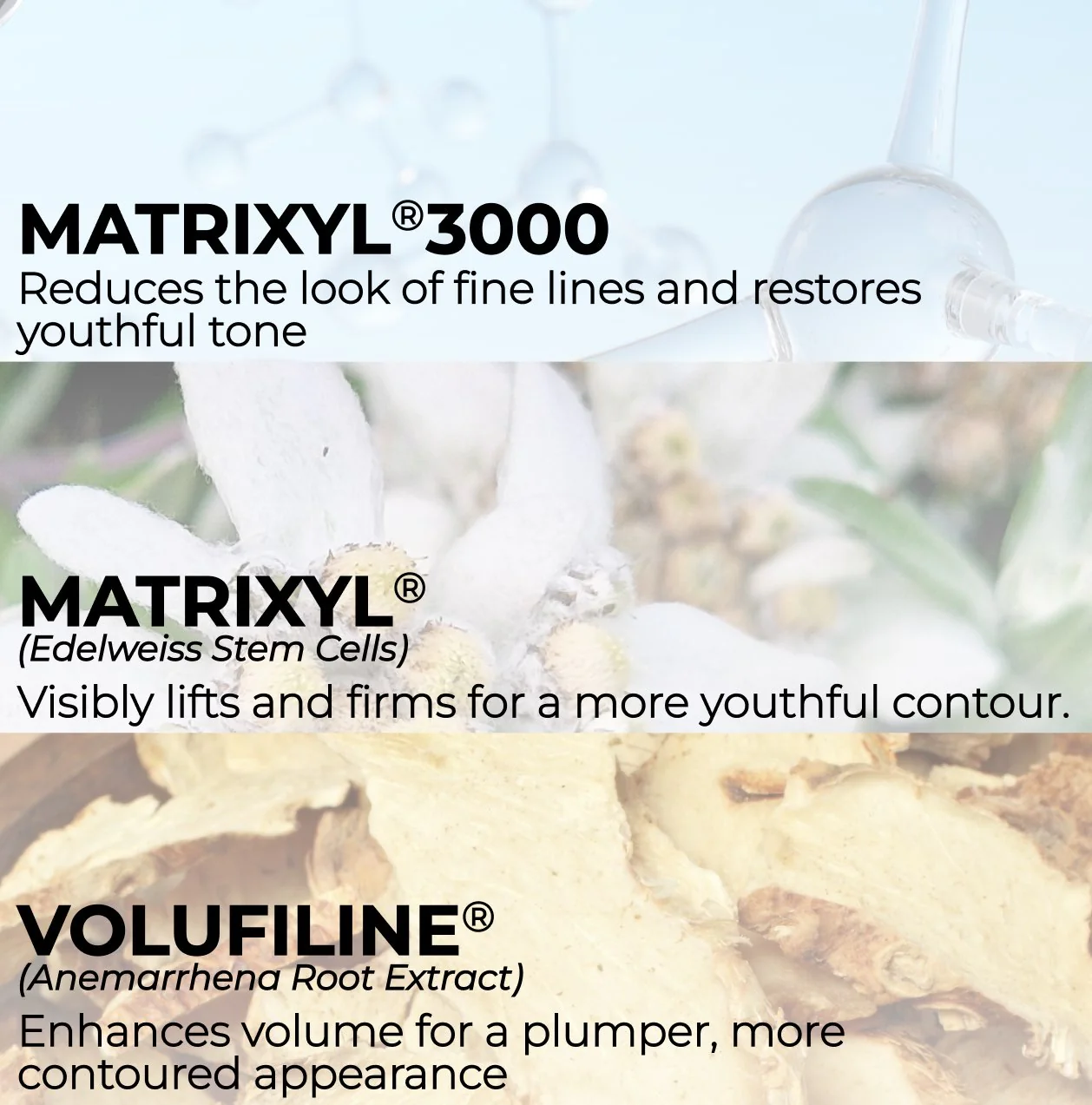 DEFINE IT Sculpting Crème - Image 4